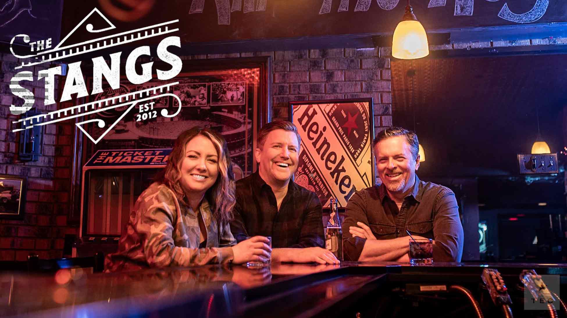 The Stangs - Trio playing a unique mix of popular modern hits