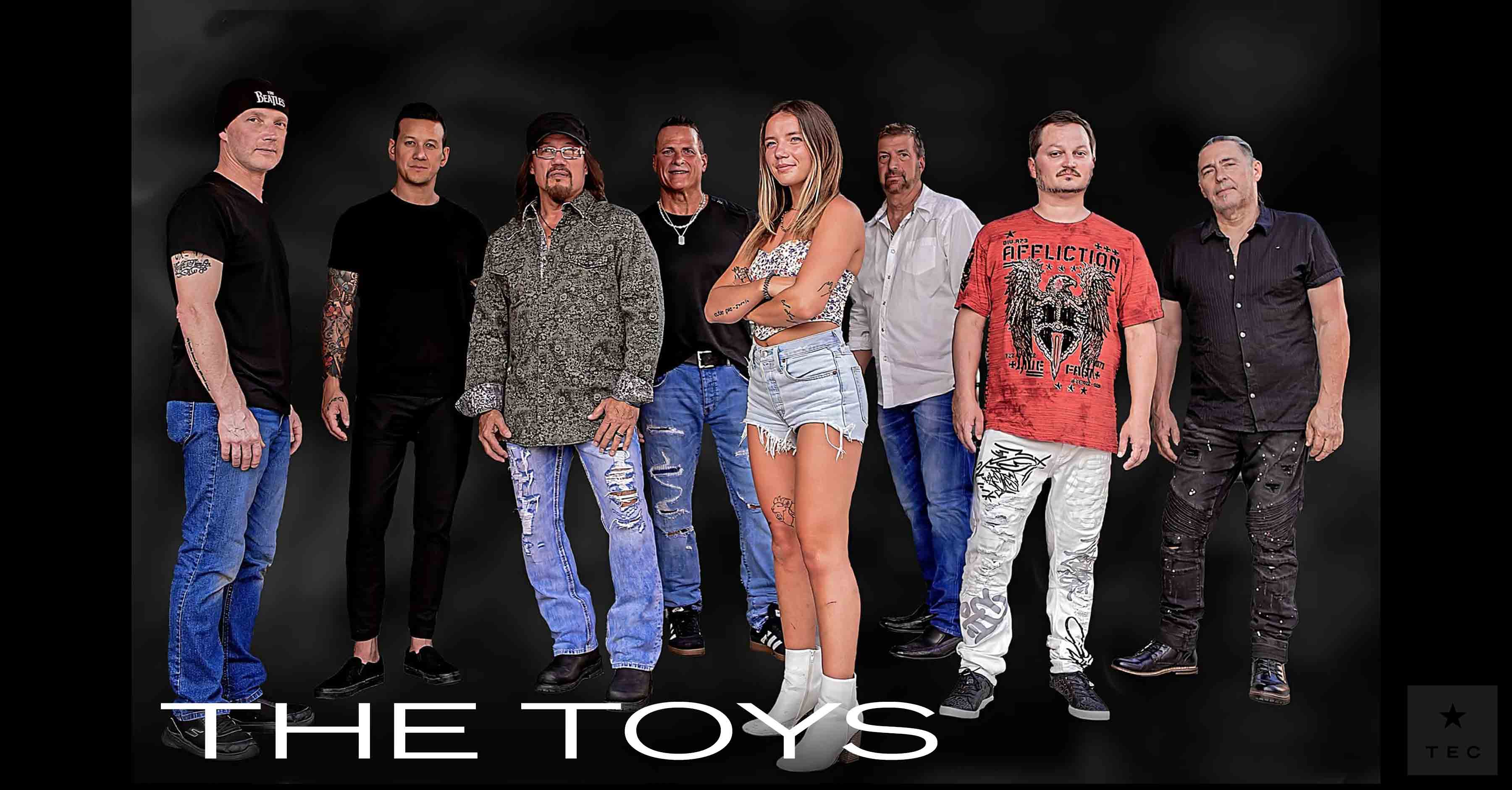 The Toys The Entertainment Company, Intl., LLC