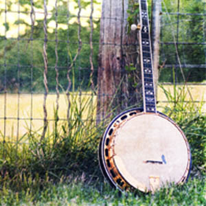 Bluegrass