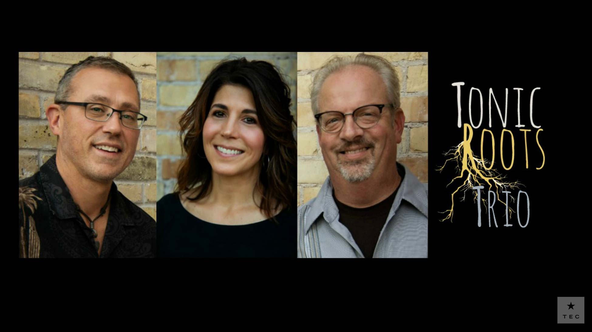 Tonic Roots - Duo, Trio or Combo. Blues,Jazz, Classics and more!