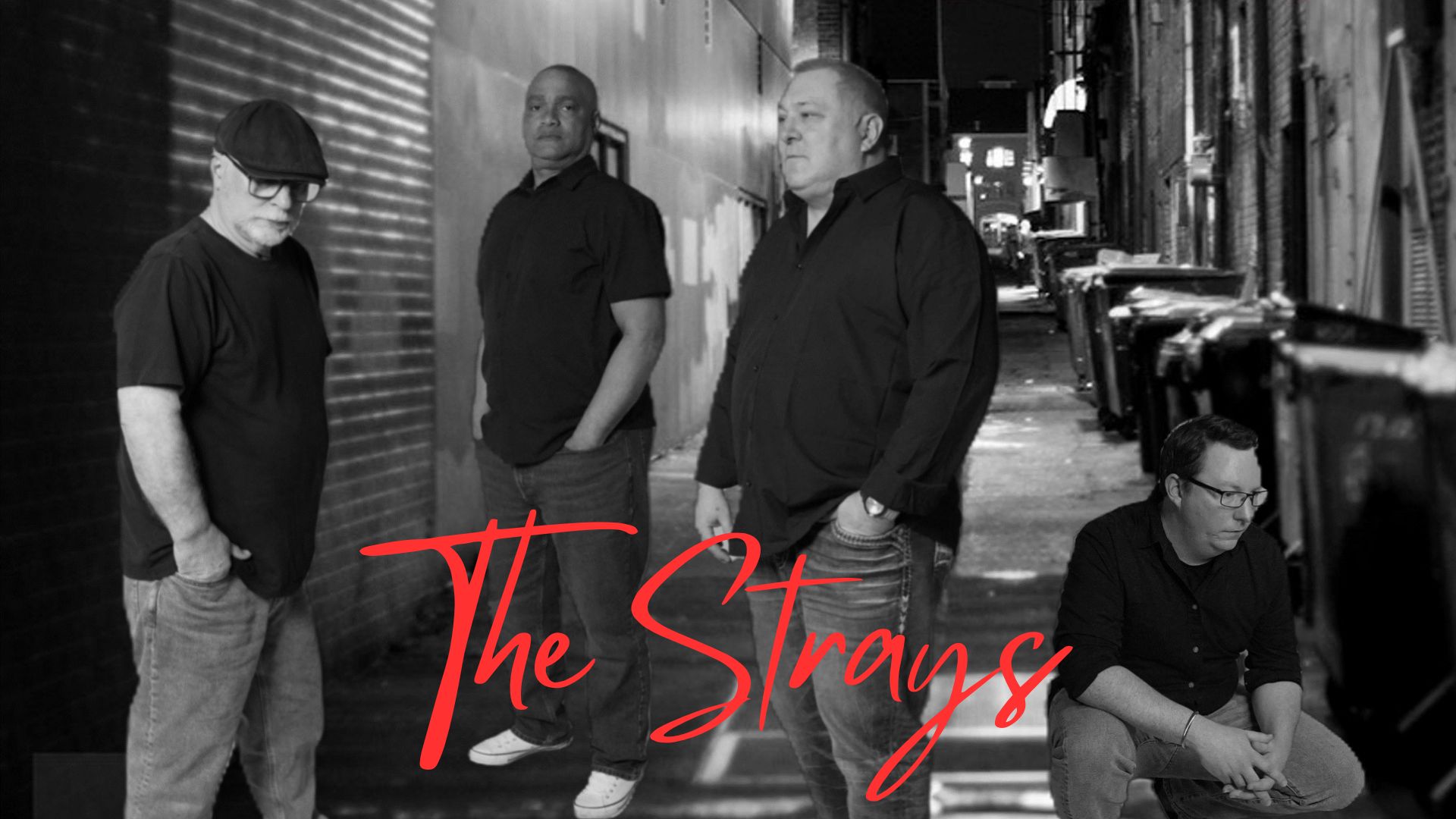 The Strays - Alt Pop Anthems and more!
