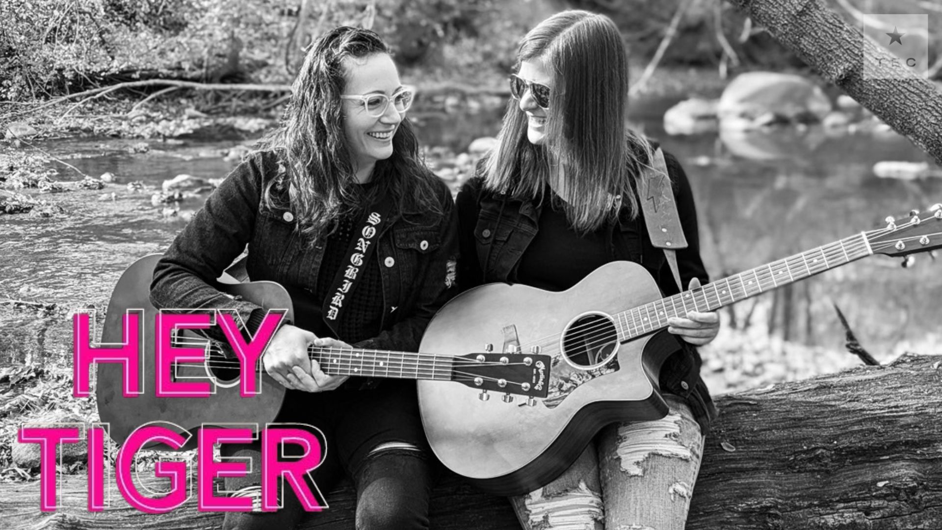 Hey Tiger - Milwaukee's Acoustic Duo