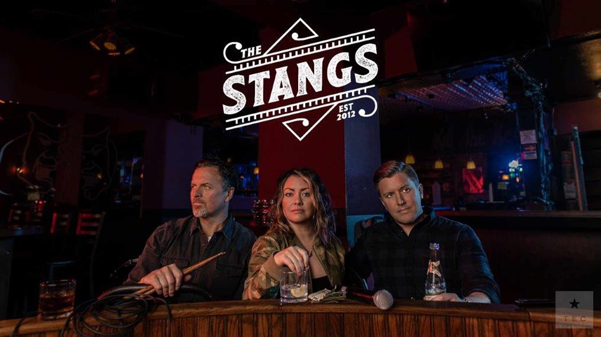 The Stangs - Trio playing a unique mix of popular modern hits